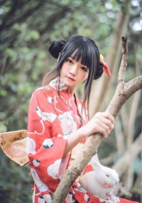 玫瑰之战电视剧免费全集剧情